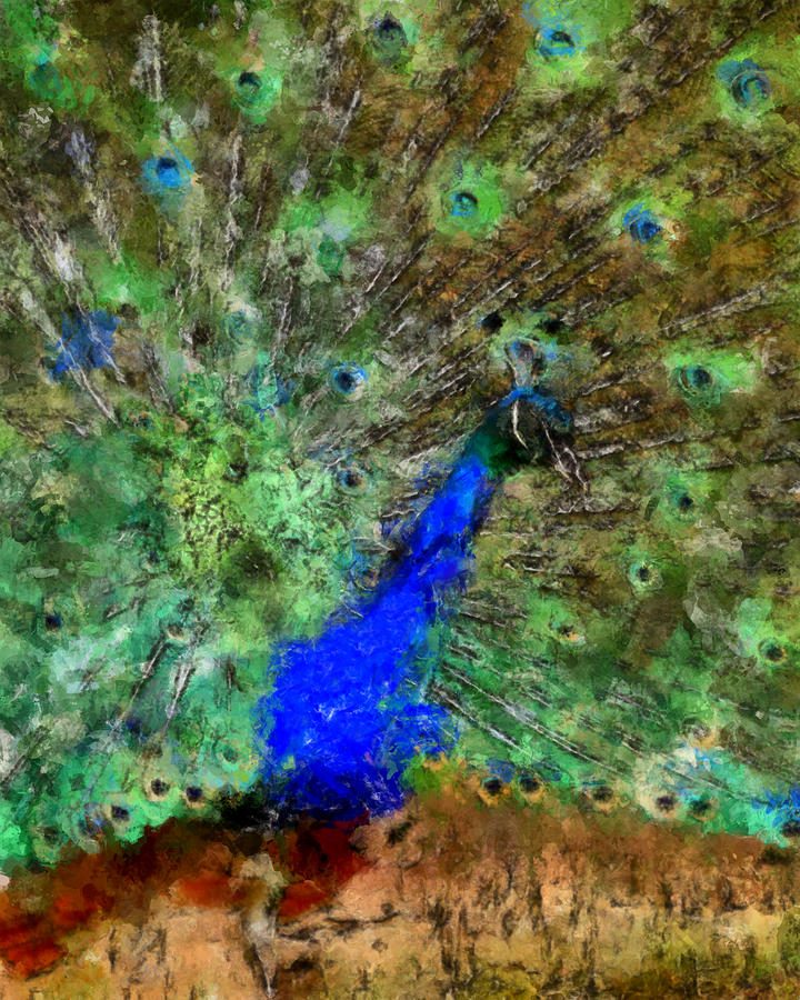 A Peacock Abstract Digital Art by Ernest Echols