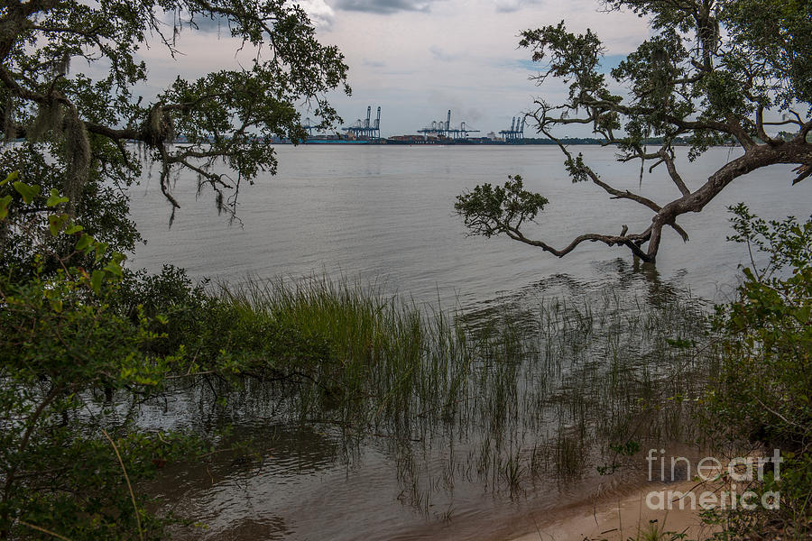 A Peek at the Wando River Shipping Terminal Photograph by Dale Powell