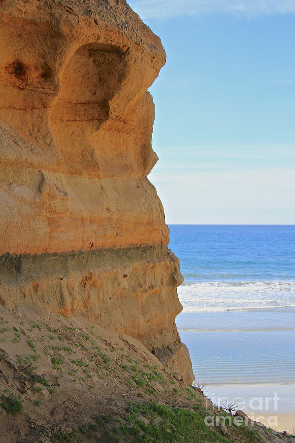 Torrey Pines A Peek of Paradise 2 Photograph by Suzanne Oesterling