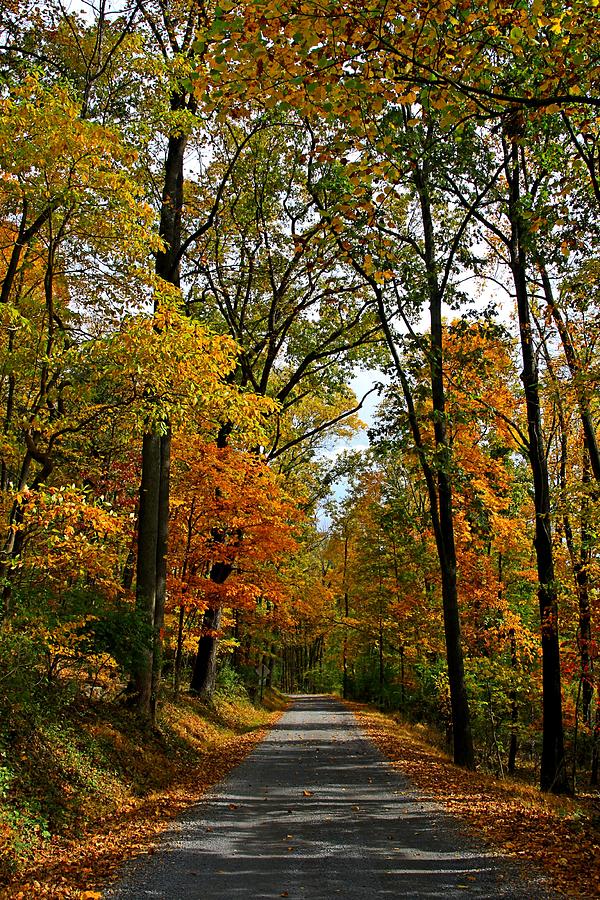 A Perfect Autumn Day by DJ Florek A Perfect Autumn Day by DJ Florek