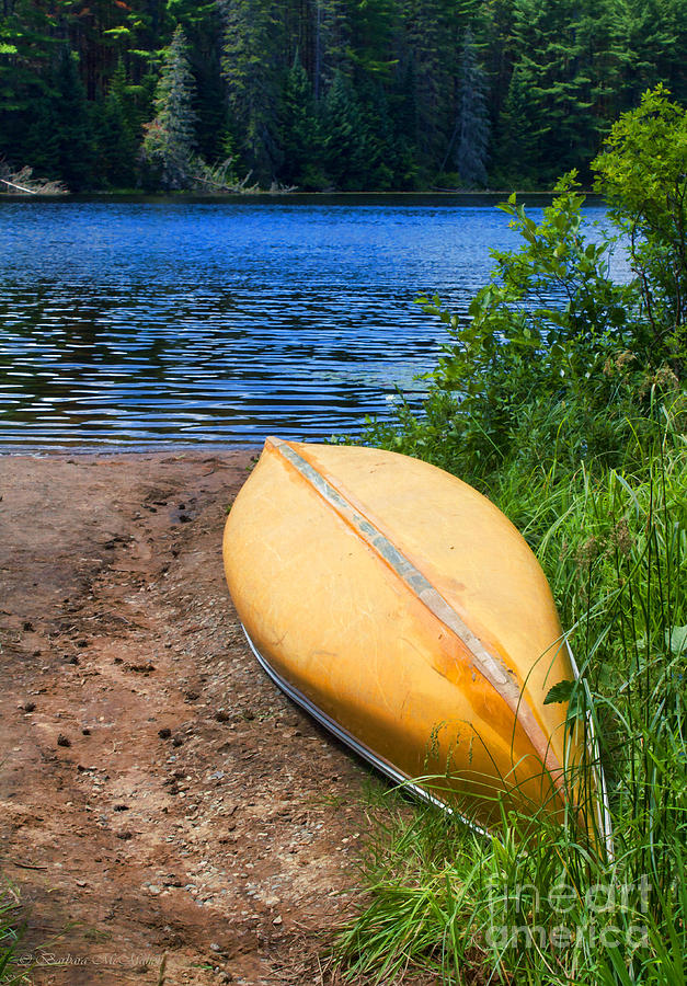 A Perfect Day For A Paddle In The Wilderness Photograph by Barbara McMahon