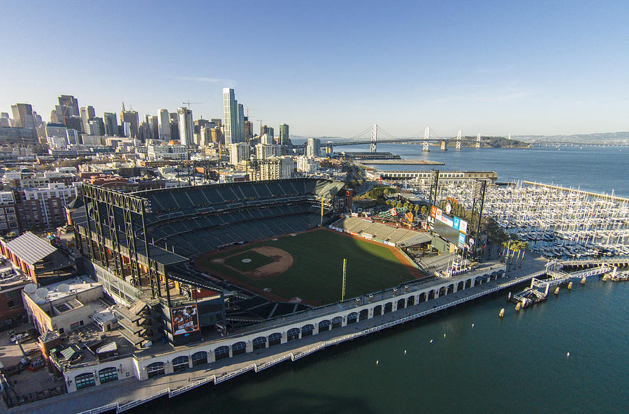 San Francisco Giants Photograph - A Perfect Day on the Bay by David Levy