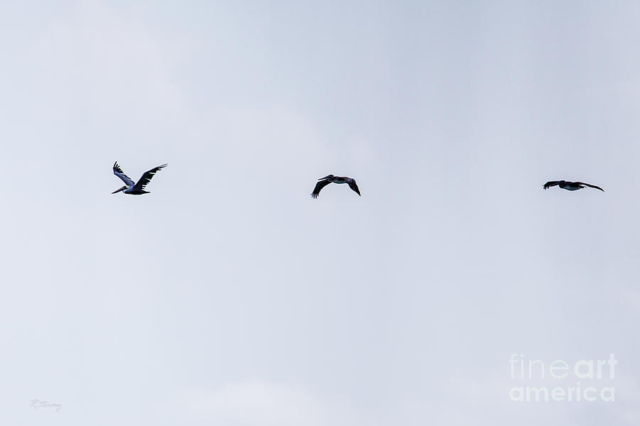 A Perfect Formation Flight of Three Photograph by Rene Triay FineArt Photos