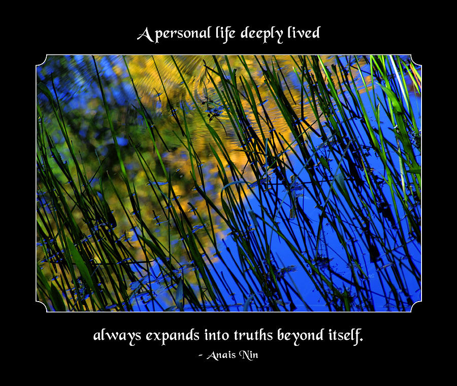 A Personal Life Deeply Lived Photograph by Mike Flynn