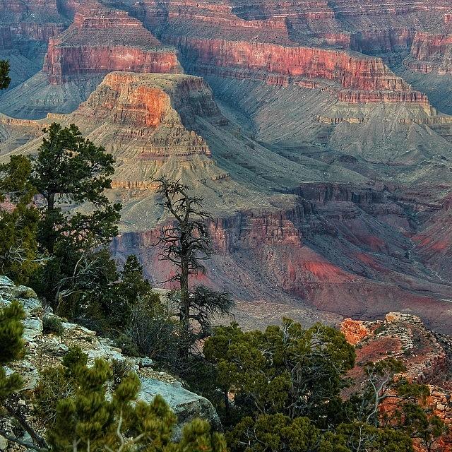 A Photo From The Grand Canyon Arizona Photograph by Robert Ziegenfuss