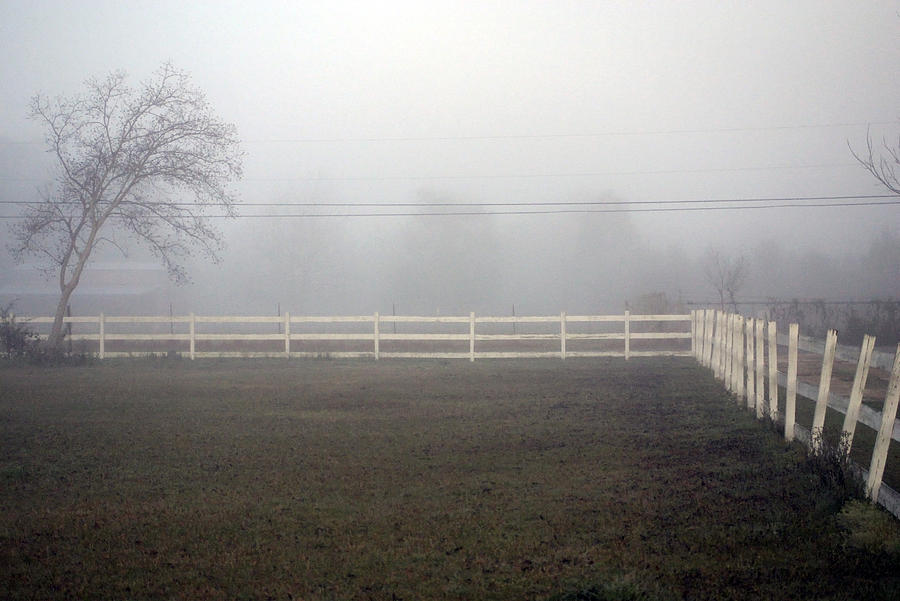 Picket Fence Photograph - A Picket Fence In An Early Morning Mist by Cora Wandel