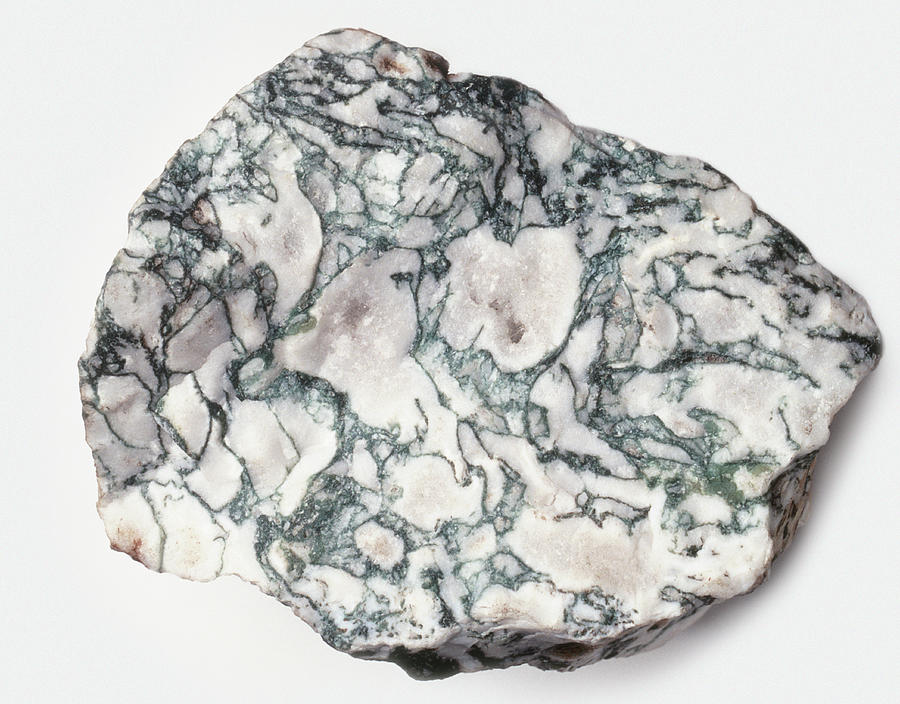 A Piece Of Moss Agate Photograph by Dorling Kindersley/uig