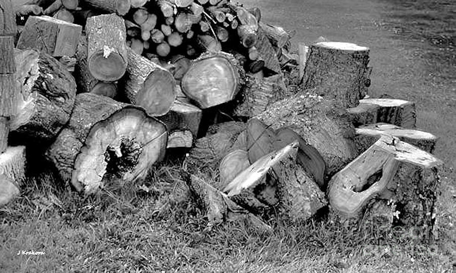 A Pile Of Wood Photograph by John Krakora