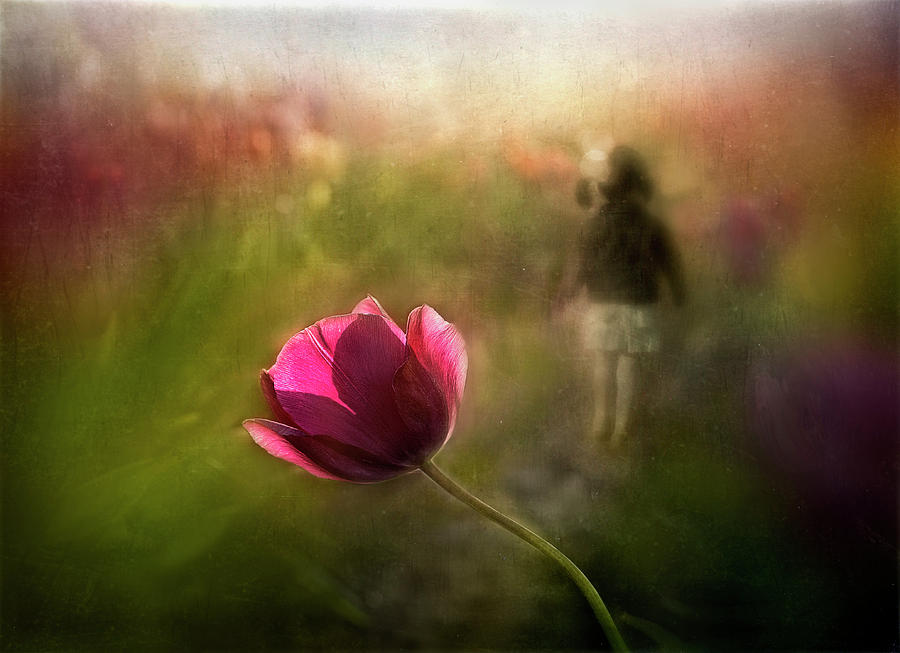 A Pink Childhood Memory Photograph by Shenshen Dou