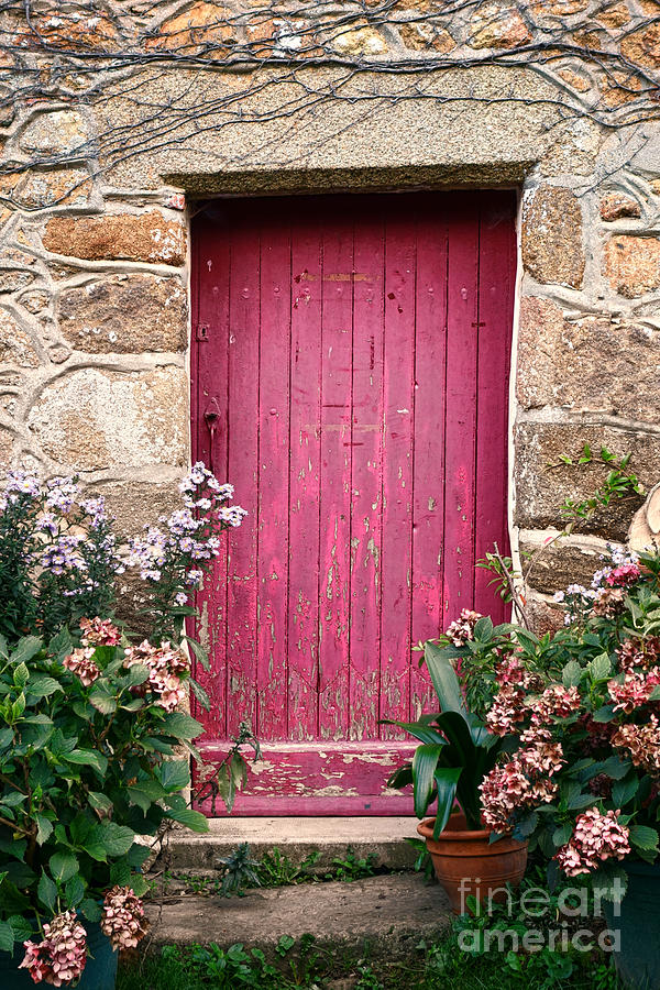A Pink Door Photograph by Olivier Le Queinec