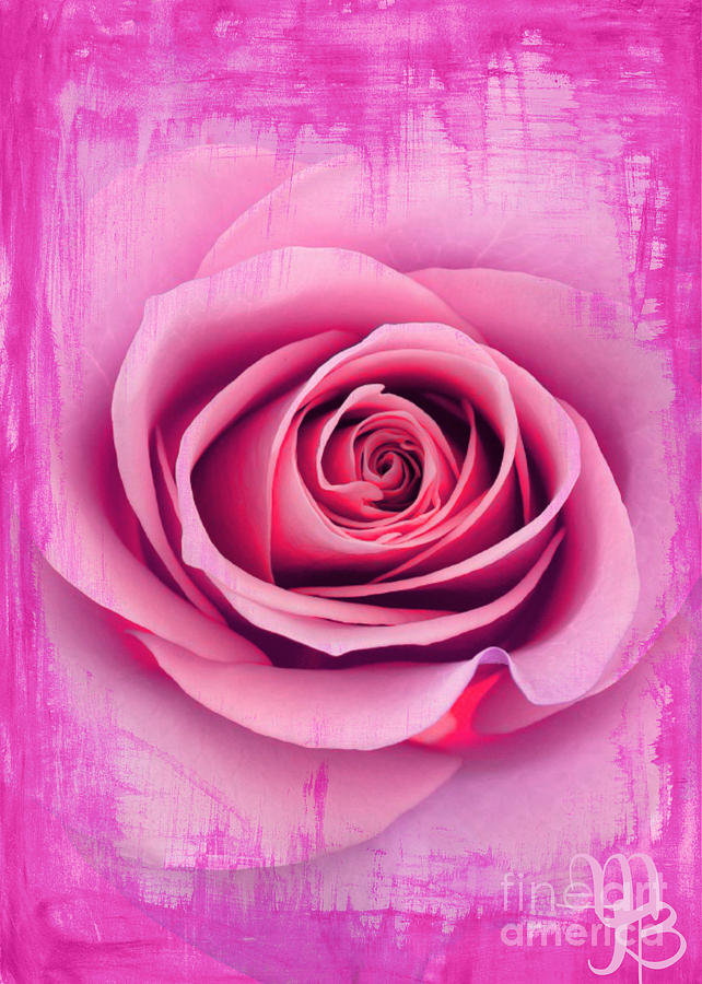 A Pink Rose Painting