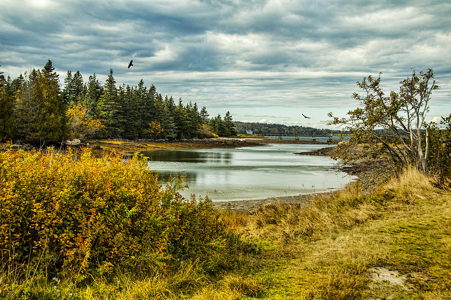 A Place In Maine Photograph by Cathy Kovarik