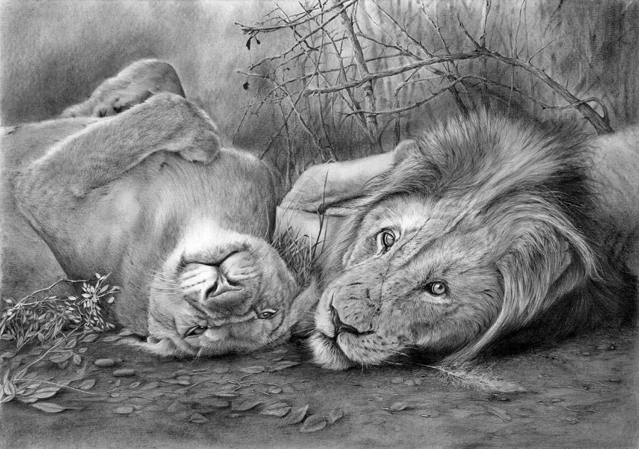 Wildlife Drawing - A Place o Be Free by Peter Williams