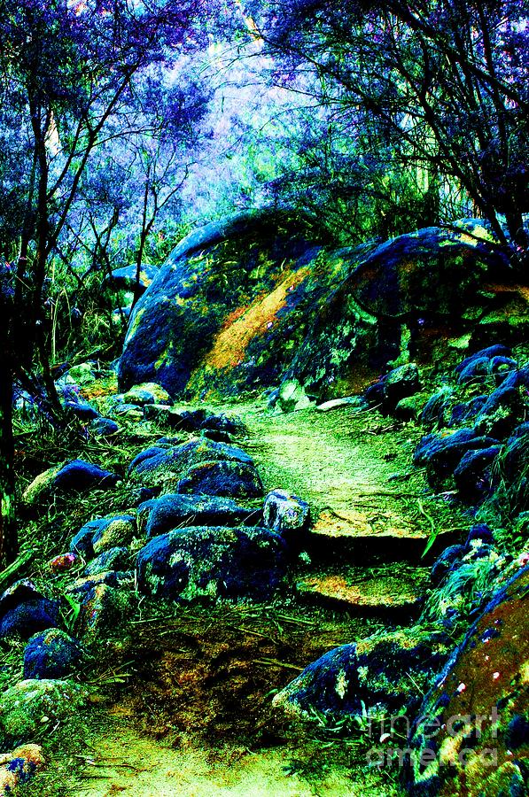 A place of Faeries and Dreams Digital Art by Blair Stuart