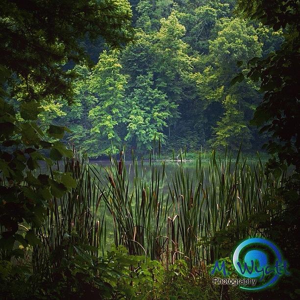 Indiana Photograph - a Place To Relax Photo By by Melissa Lutes