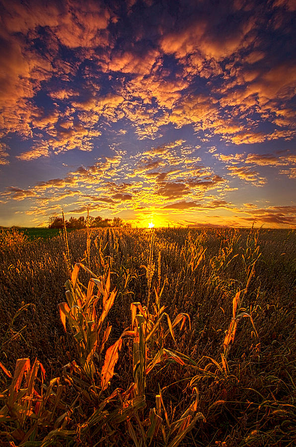 A Place You Call Home Photograph by Phil Koch