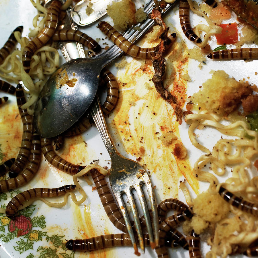Fork Photograph - A Plate Full Of Decaying Food And Worms by Ron Koeberer