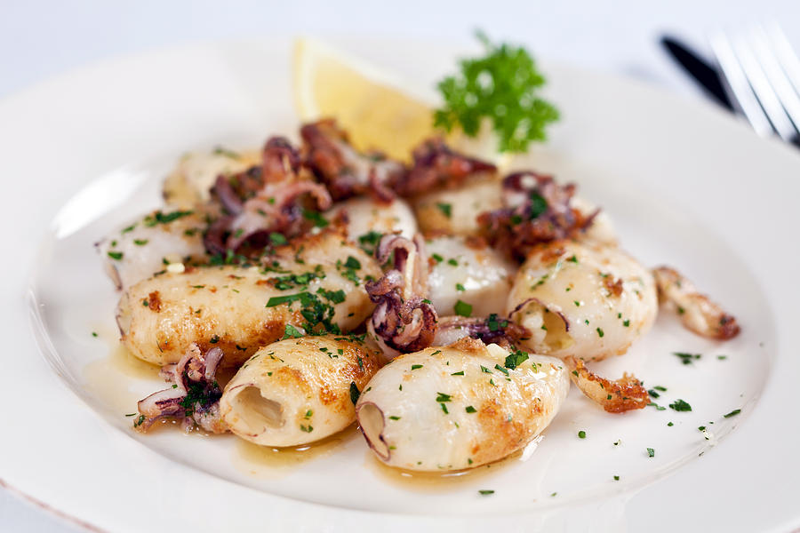 A plate of seafood entree with squid on top Photograph by Alle12 A plate of seafood entree with squid on top Photograph by Alle12