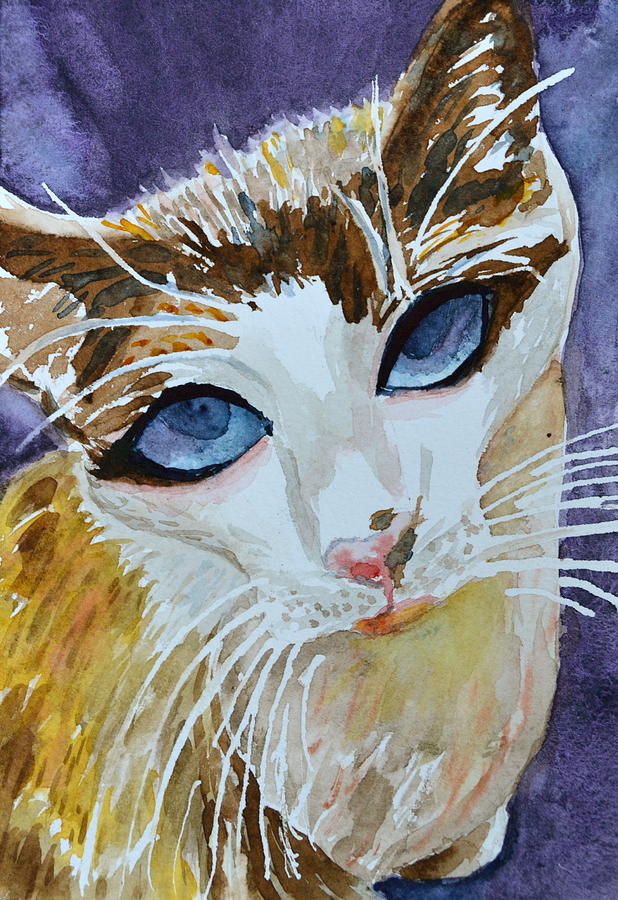 Cat Painting - A Pleading Look by Beverley Harper Tinsley