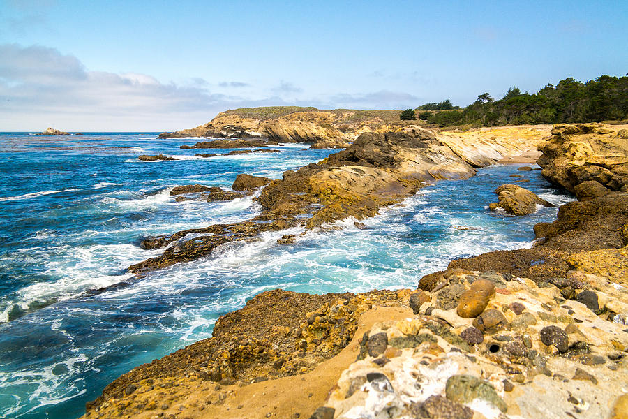 A Point Lobos Point Photograph by Wasim Muklashy