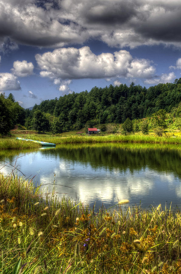 A Pond Reflection Photograph
