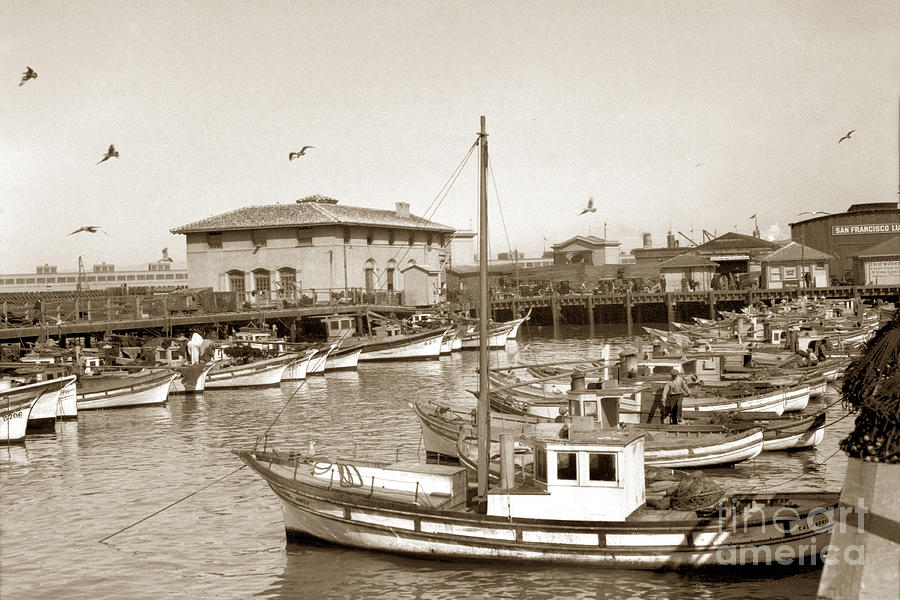 San Francisco Photograph - A portion of the crab boat fleet tied up at Fishermans Wharf S. F. Calif.  Circa 1925 by Monterey County Historical Society