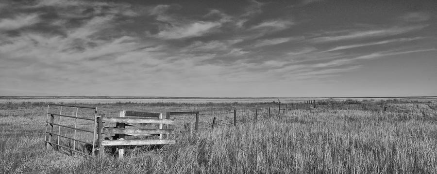 A Prairie Scene Photograph by Allan Van Gasbeck