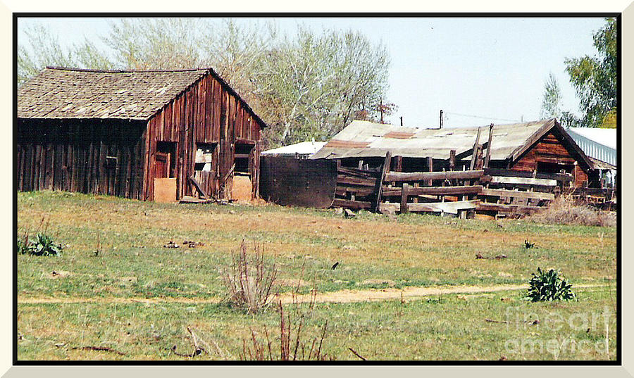 A Prosser Barn Photograph by Charles Robinson