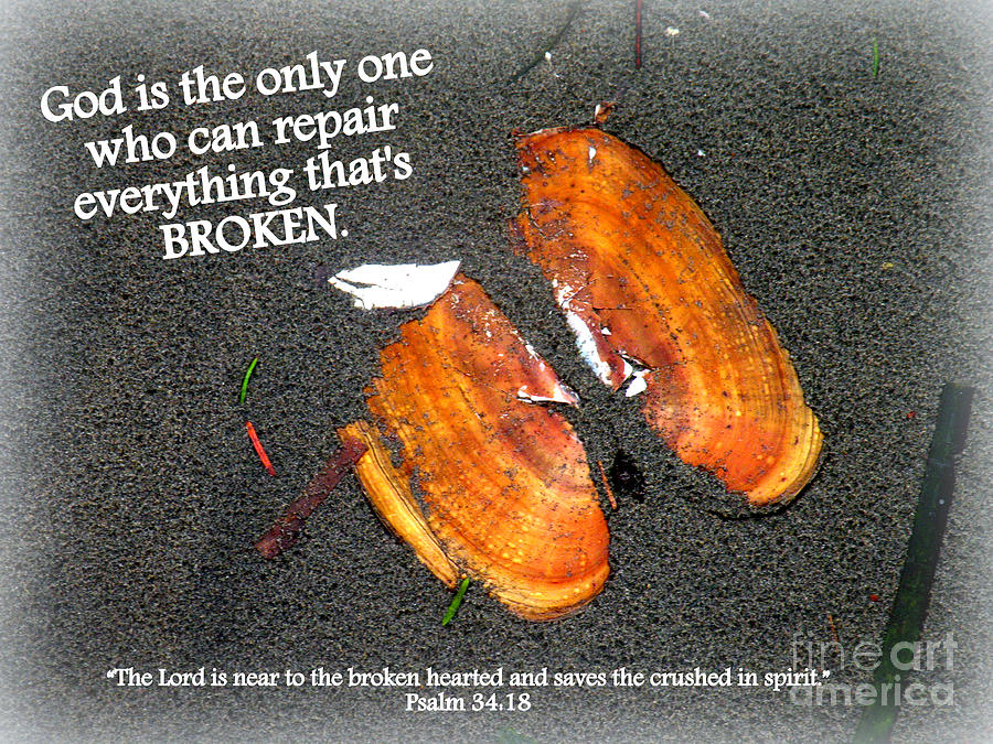 A Psalm For The Brokenhearted Photograph by Kathy  White