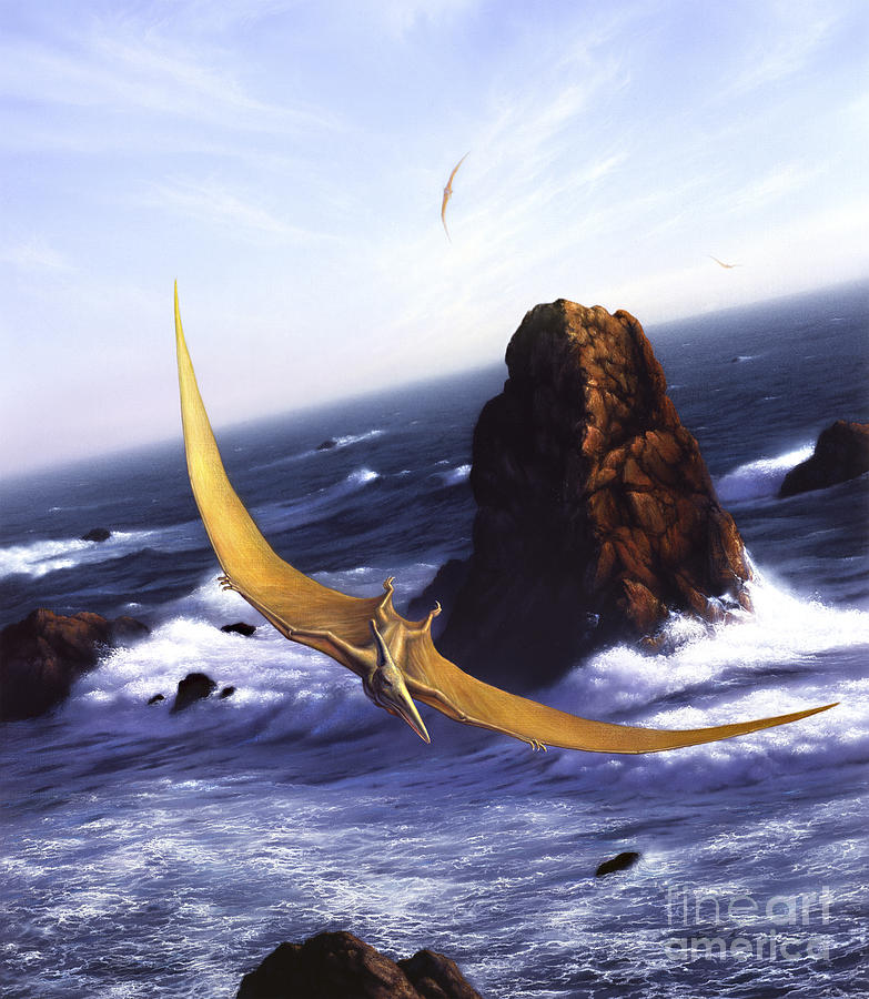 A Pteranodon Soars Above The Ocean Digital Art