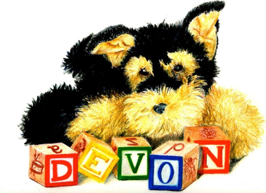 Dog Painting - A Puppy For Devon by Ruth Glenn Little