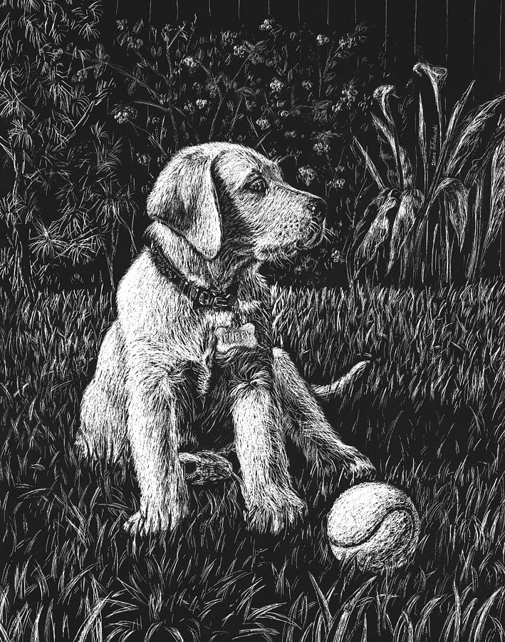 A Puppy With The Ball Drawing by Irina Sztukowski