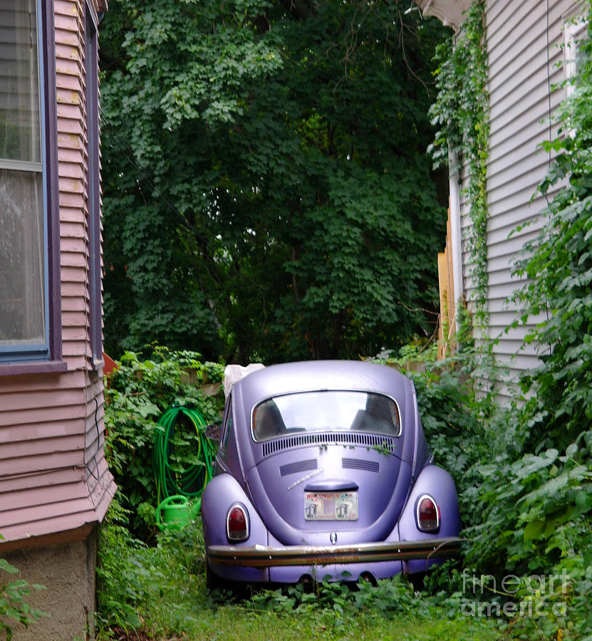 A purple car grows in Madison Photograph by David Bearden