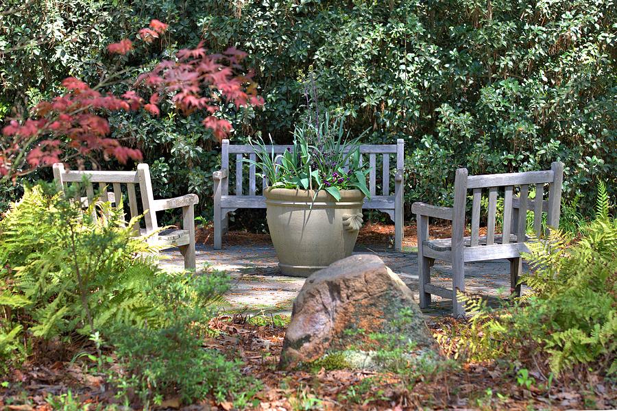 A Quiet Place to Meet Photograph by Gordon Elwell