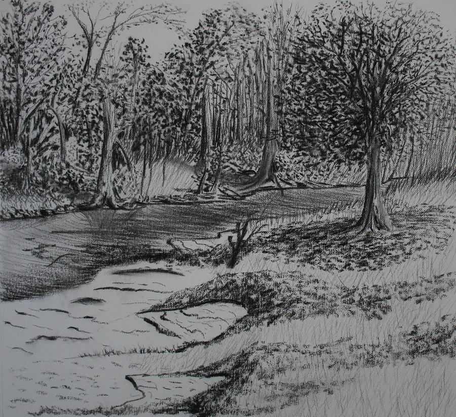 A Quiet Stream Drawing by Stacy C Bottoms