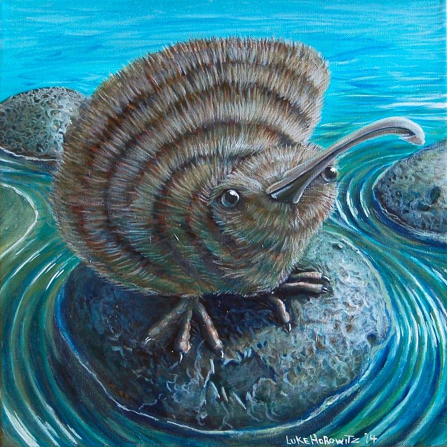 A Quizzical Kiwi Painting by Luke Horowitz