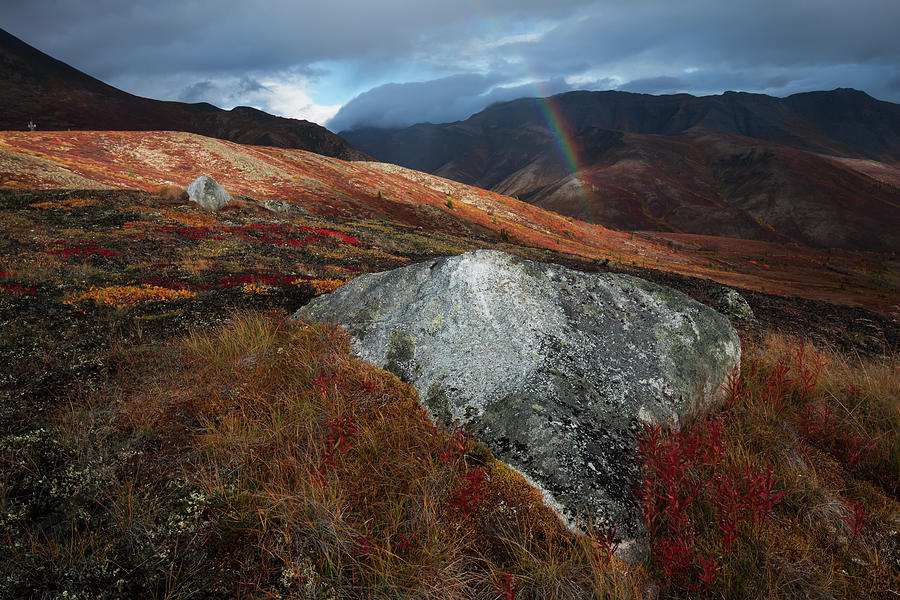 A Rainbow Appears During A Rainshower Photograph by Robert Postma / Design Pics