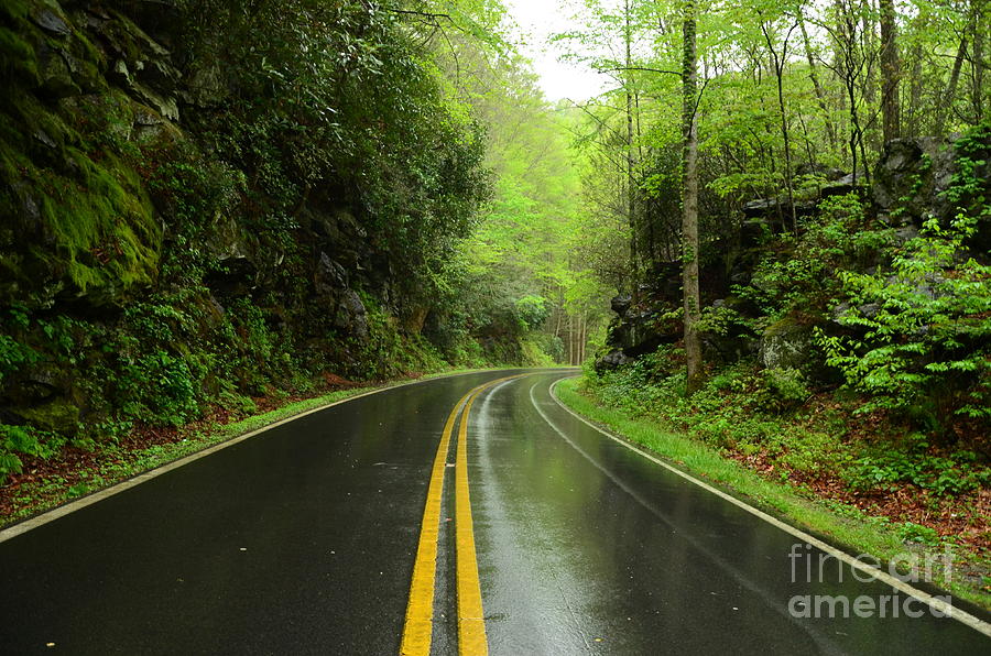 A Rainy Day Drive In The Mountains Photograph by Bob Sample