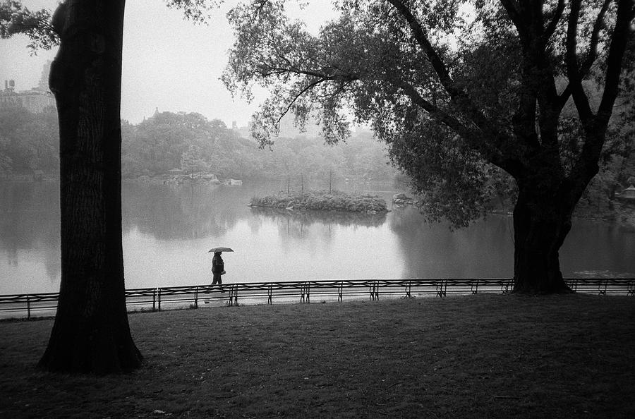 A Rainy Day in the Park Photograph by Cornelis Verwaal