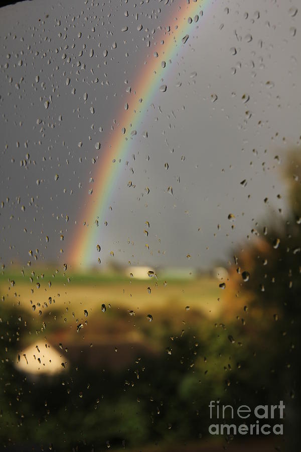 A Rainy Day Photograph by Jeremy Hayden