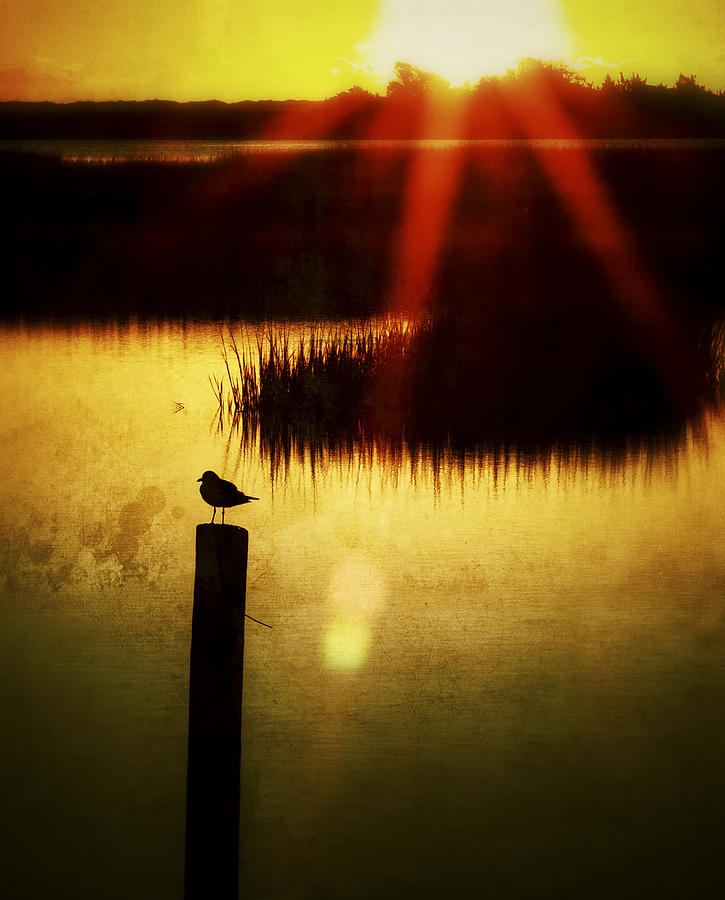 A Ray Of Hope Sunrise Sunset Image Art Photograph by Jo Ann Tomaselli