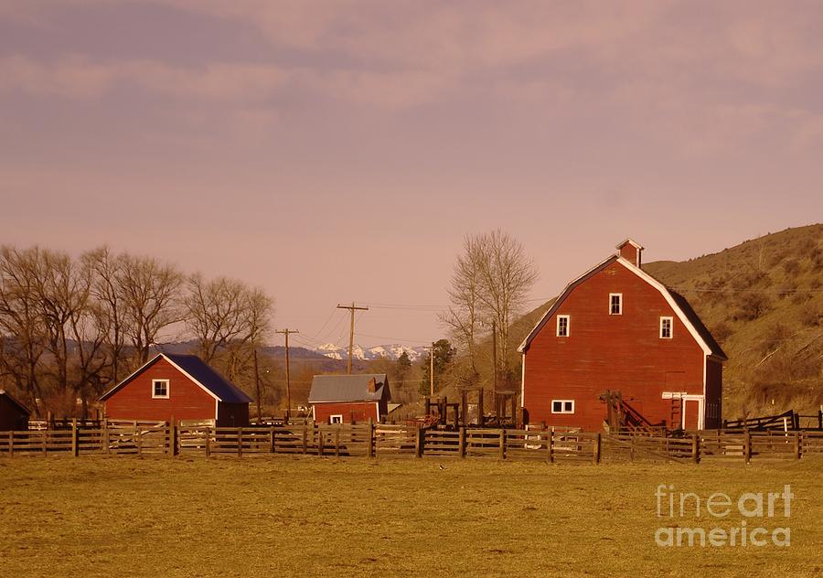 A Red Barn Photograph