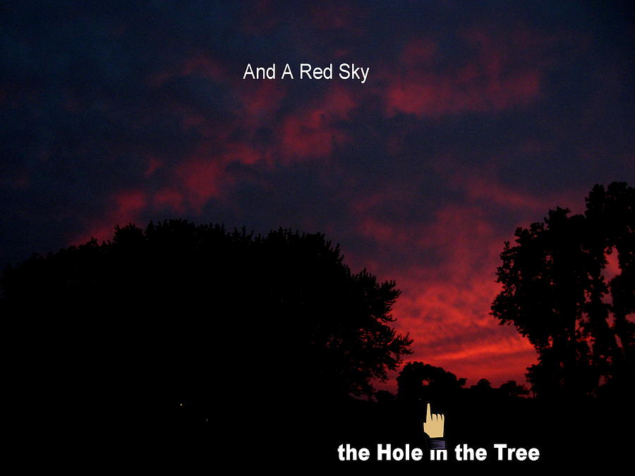 Tree Photograph - A Red Sky  by Lele Pennington