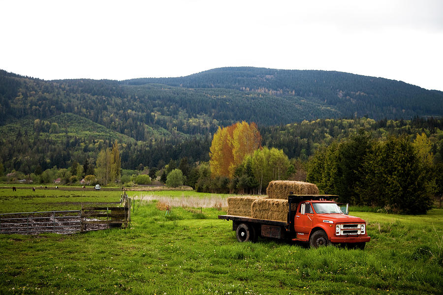 Transportation Photograph - A Red Truck Has A Bed Full Of Hay by Michael Hanson