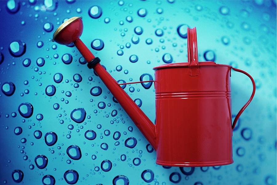 A Red Watering Can Photograph by Romulo Yanes