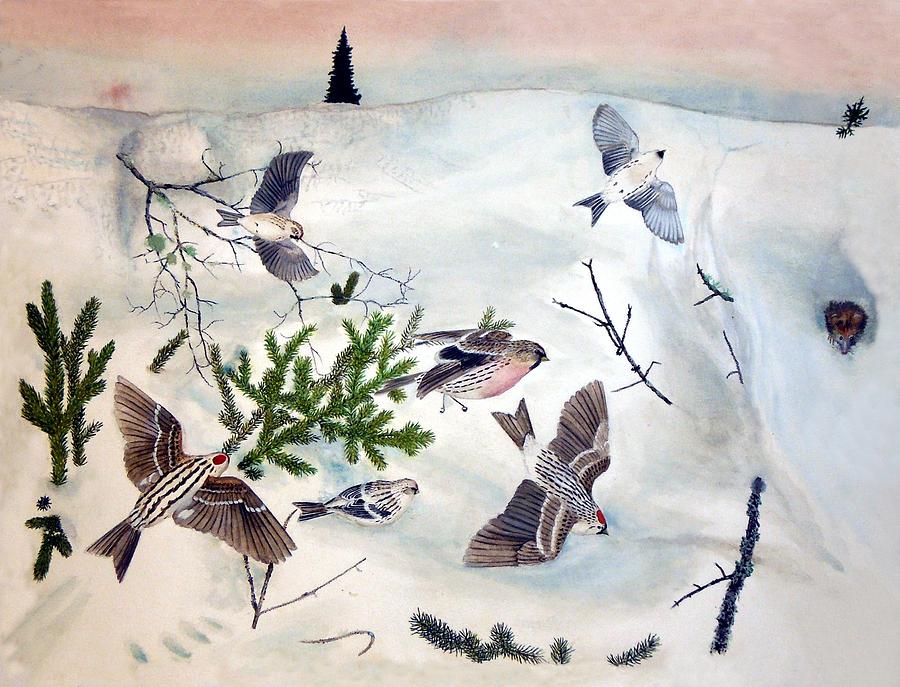 Redpolls Painting - A Redpoll Explosion on a Winters Morn by Tanya  Beyer