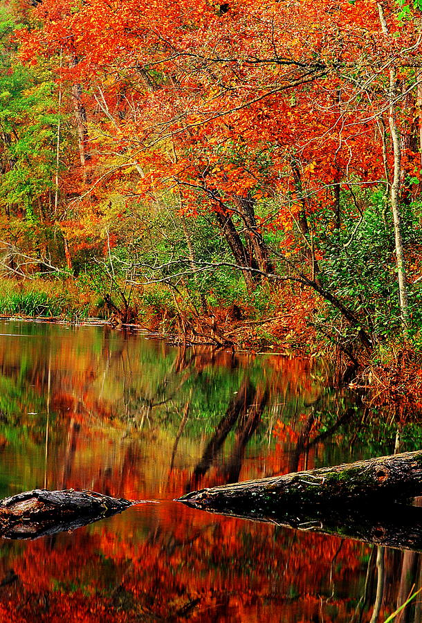 A Reflection of Fall Photograph by Rodney Lee Williams