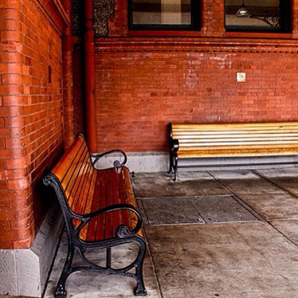 Portland Photograph - A Resting Place by Nancy Blackman