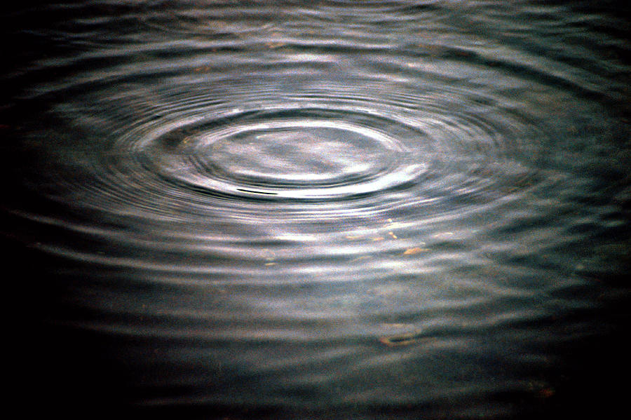 A Ripple In The Water Photograph by Daniel Lai - Fine Art America