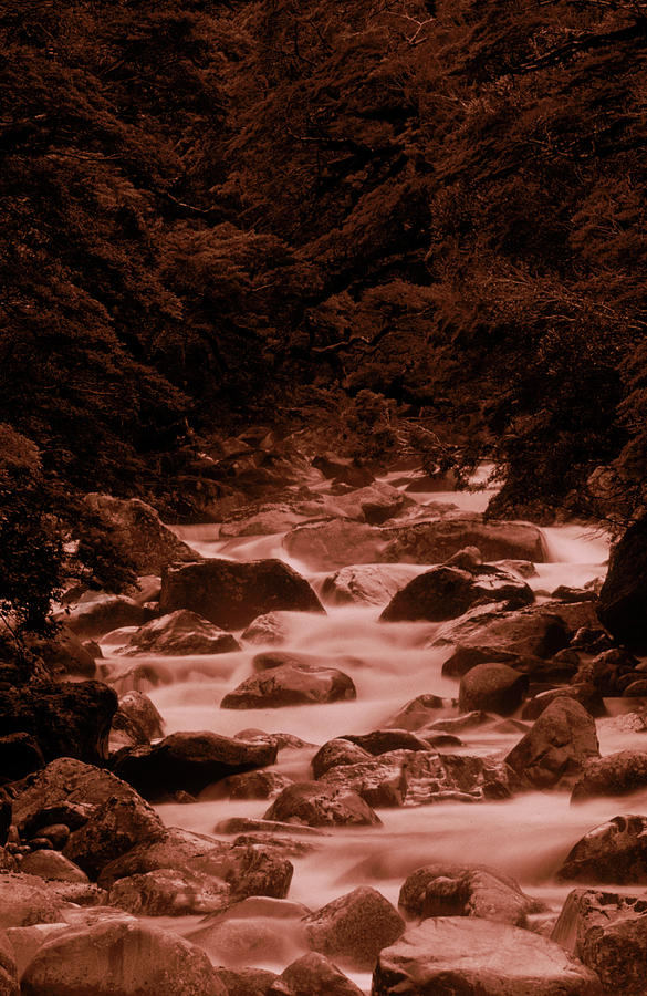 Cool Photograph - A River Running Alongside One by David McLain